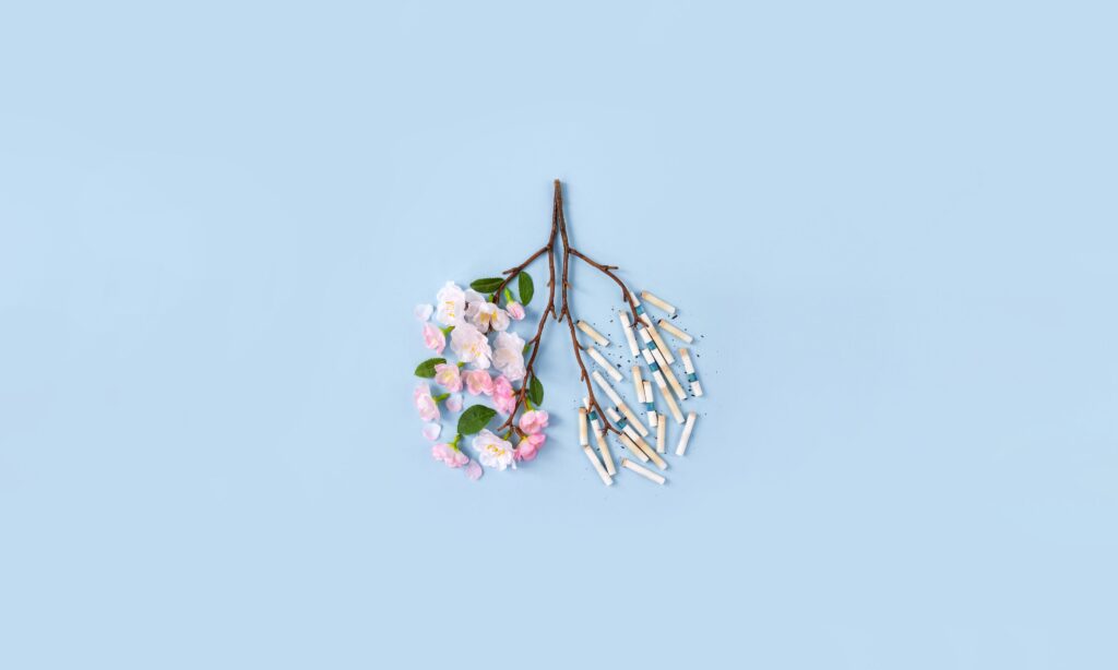 Artistic representation of healthy lungs made of flowers contrasted with cigarette stubs, promoting a quit smoking message.